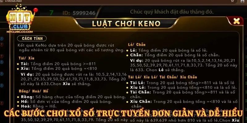 Các bước chơi xổ số trực tuyến đơn giản và dễ hiểu 